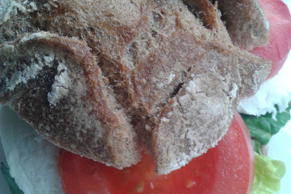 Vollkornbrötchen mit Tomaten und Mozzarella