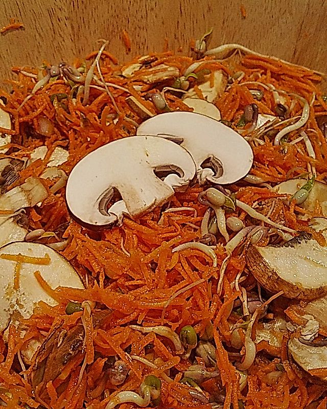 Sprossen - Möhren - Salat