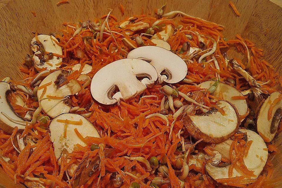 Sprossen - Möhren - Salat