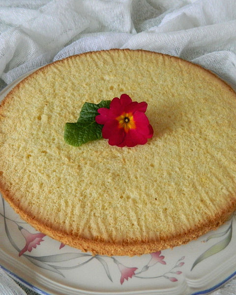 Tortenboden Rezepte | Chefkoch