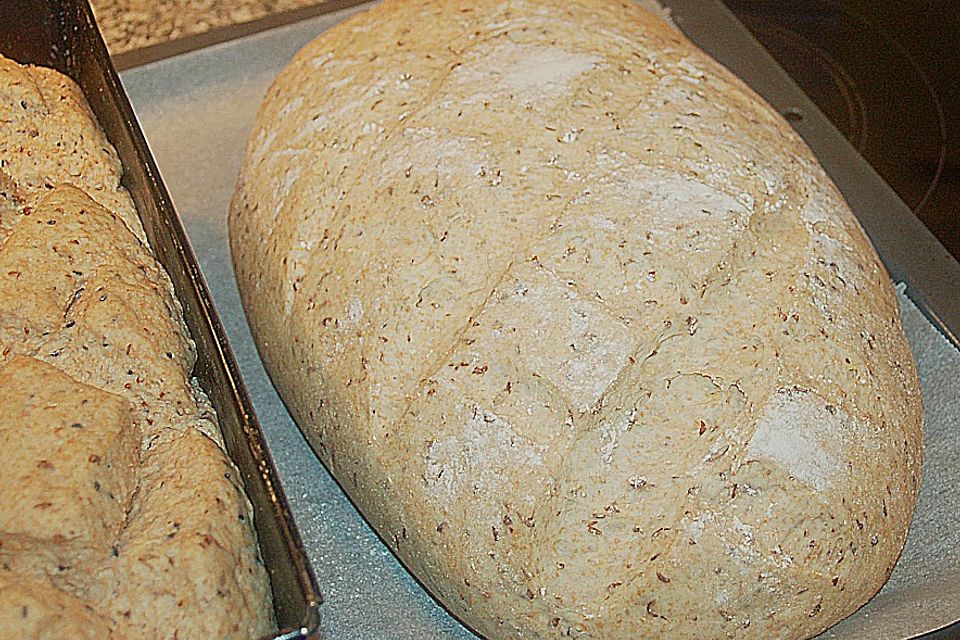 Dinkelbrot - einfach Dinkelbrot - einfach