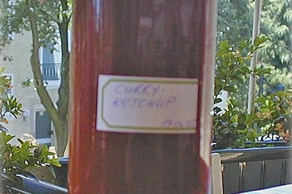 Curryketchup Curryketchup
