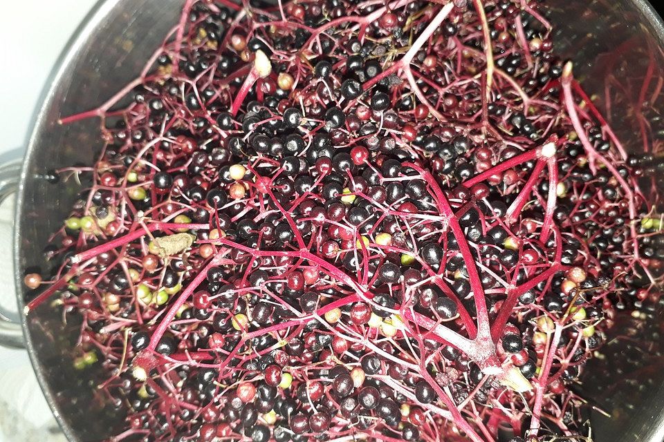 Fliederbeersaft / Holundersaft Fliederbeersaft / Holundersaft