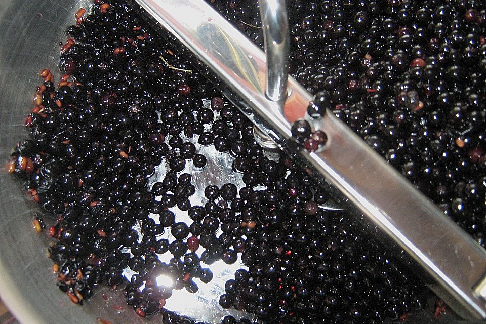 Fliederbeersaft / Holundersaft Fliederbeersaft / Holundersaft