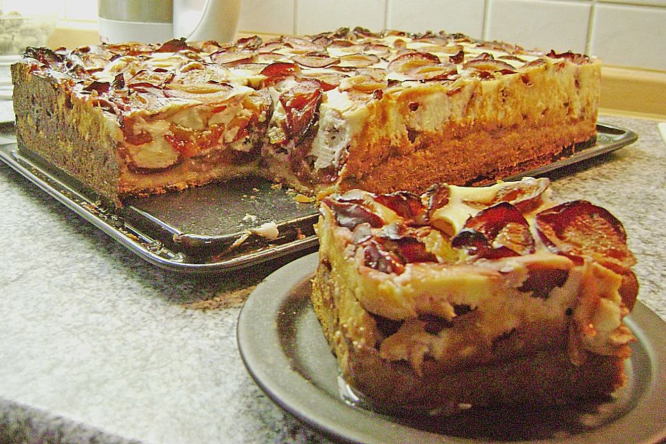 Käse - Zwetschgenkuchen auf dem Blech Käse - Zwetschgenkuchen auf dem Blech