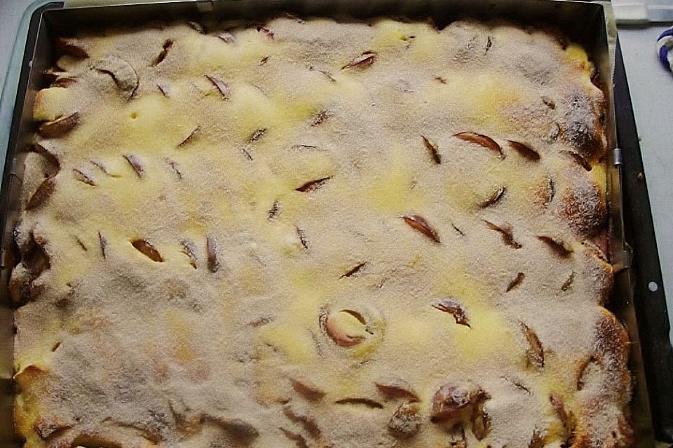 Käse - Zwetschgenkuchen auf dem Blech Käse - Zwetschgenkuchen auf dem Blech