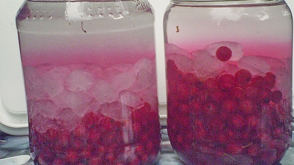 Roter Johannisbeerlikör von Azzazzel Roter Johannisbeerlikör von Azzazzel