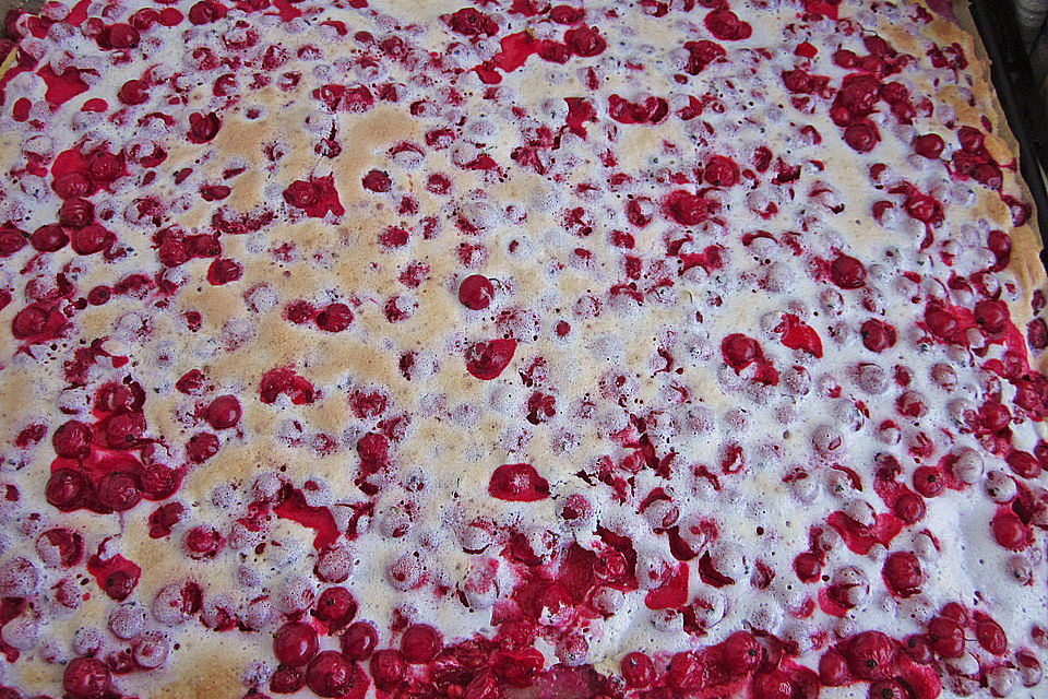 Johannisbeerkuchen Johannisbeerkuchen