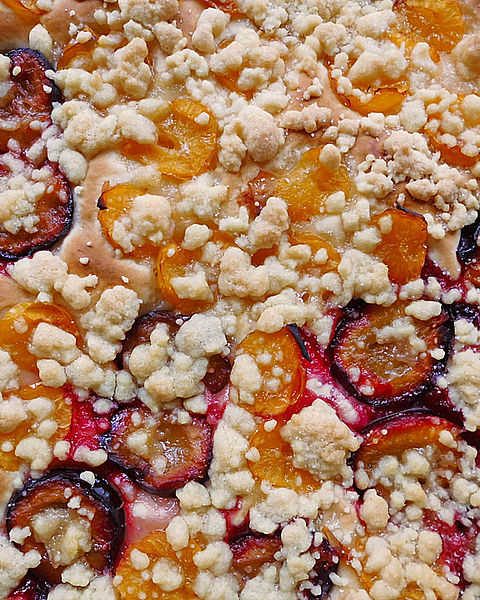 Mirabellenkuchen Rezepte | Chefkoch