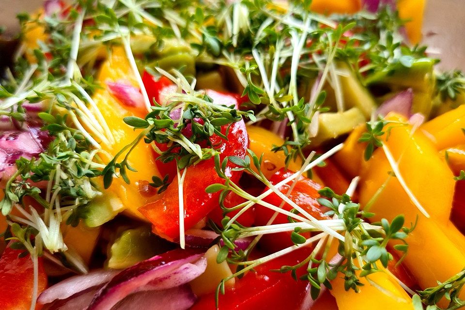 Frischer Mangosalat