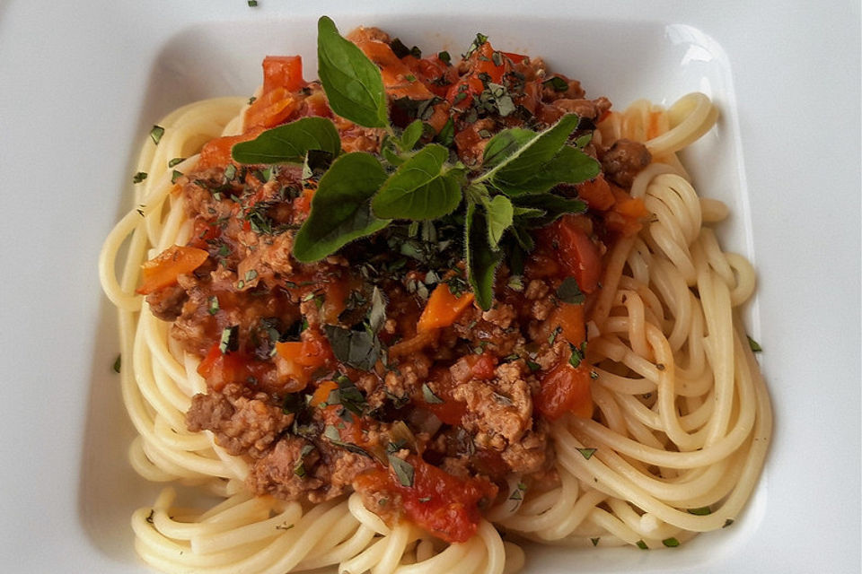 Spaghetti mit Hackfleisch - Bolognese