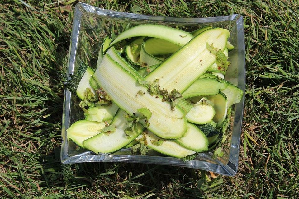 Zucchini - Salat mit Minz - Vinaigrette