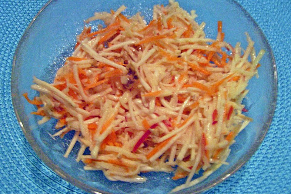 Karotten - Sellerie - Apfel - Salat