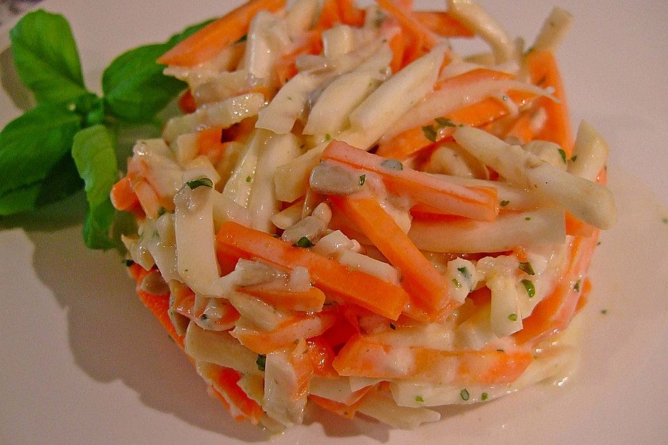 Karotten - Sellerie - Apfel - Salat