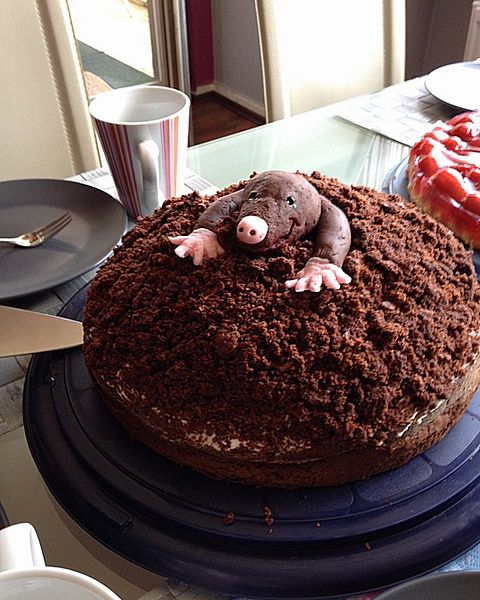 Maulwurftorte Rezepte | Chefkoch