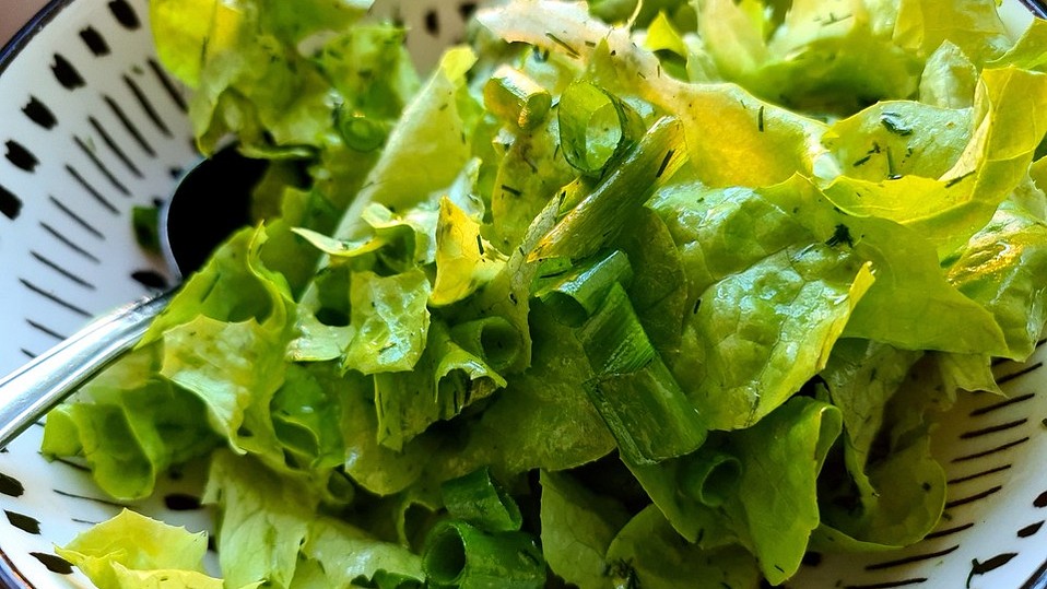 Dressing für Blattsalate von salatin