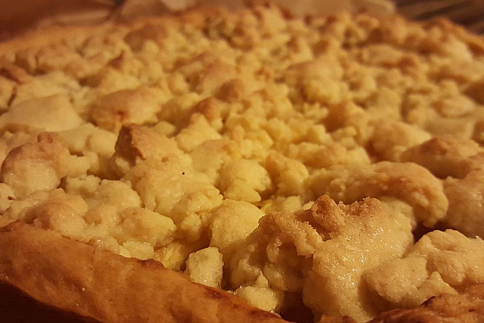 Veganer Apfelkuchen  mit Zimtstreuseln