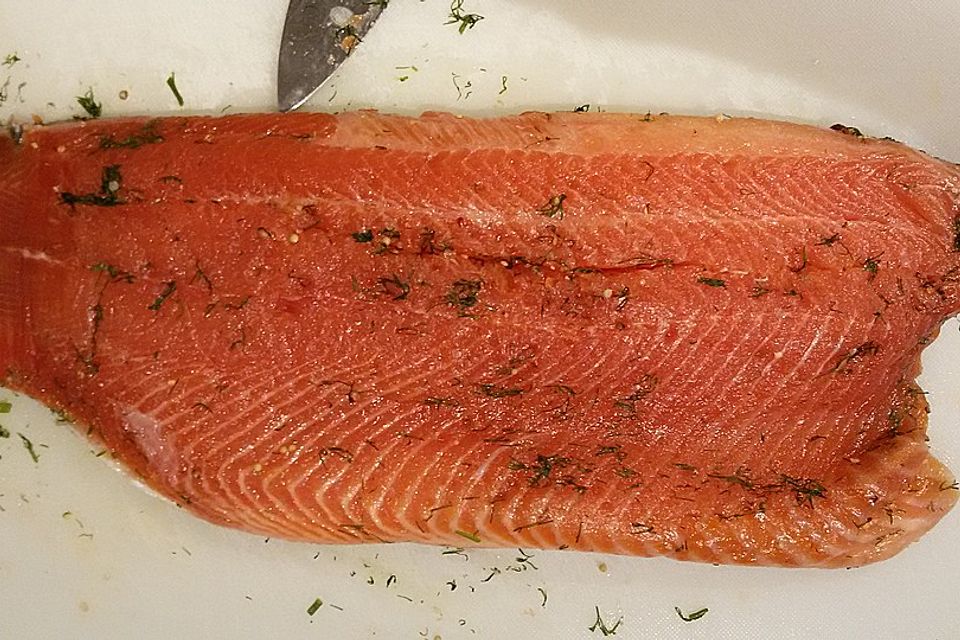 Lachs beizen