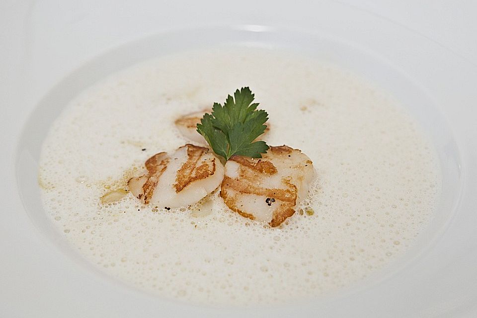 Spargelsuppe mit gegrillten Jakobsmuscheln