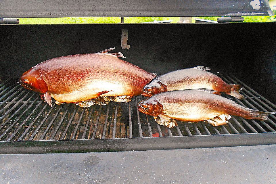 Fisch heiß räuchern