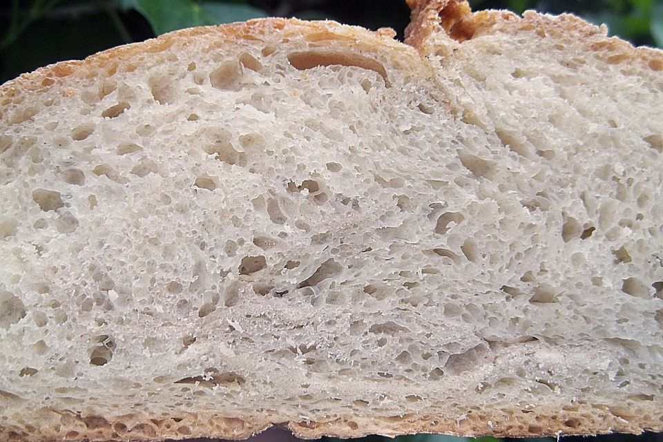 No - Knead - Bread mit Frischhefe