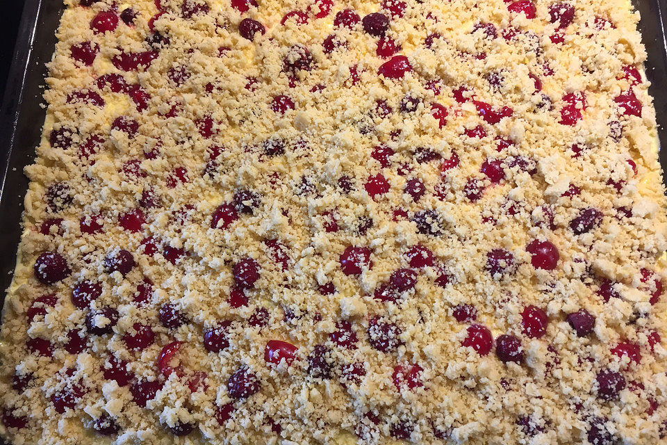 Beeren-Schmandkuchen mit Streuseln