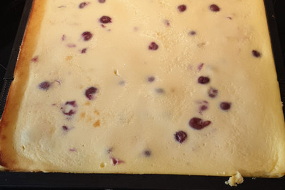 Käse - Kirsch - Kuchen vom Blech