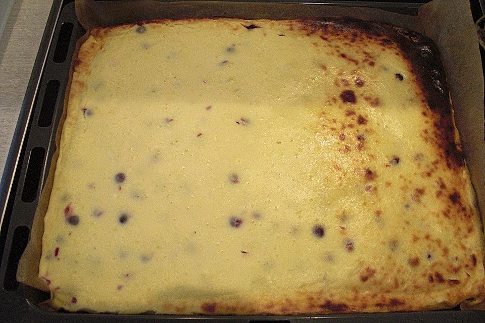 Käse - Kirsch - Kuchen vom Blech