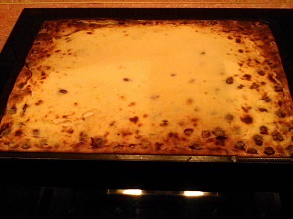 Käse - Kirsch - Kuchen vom Blech von 7Schweinoldi20 | Chefkoch Käse - Kirsch - Kuchen vom Blech von 7Schweinoldi20 | Chefkoch