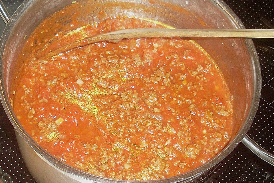 wasserschildkroetes Tomaten - Hack - Soße