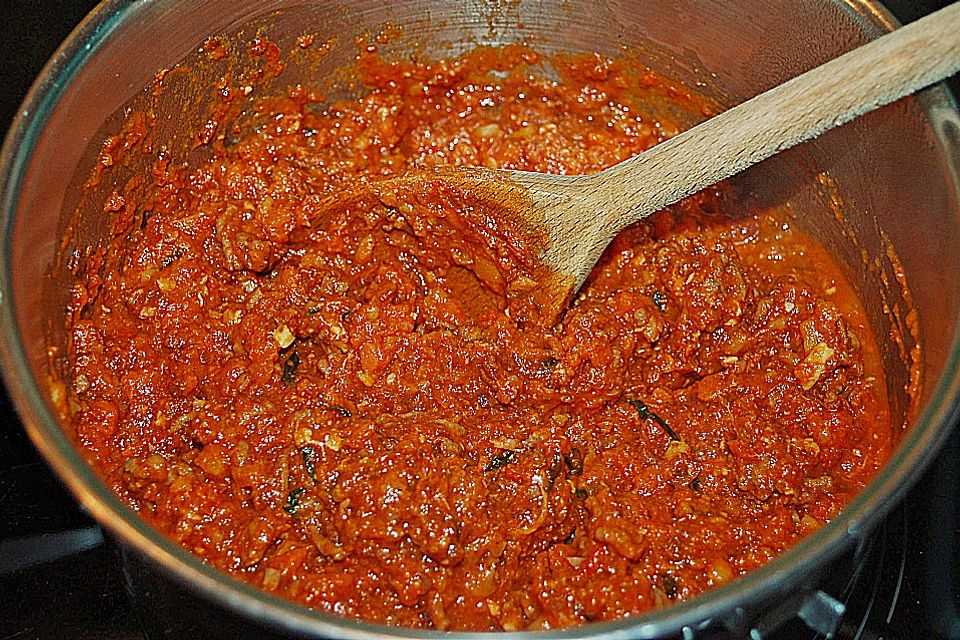 wasserschildkroetes Tomaten - Hack - Soße