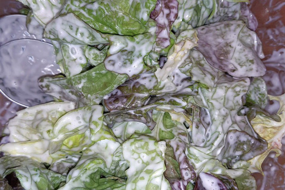 Salatdressing Sylter Art Salatdressing Sylter Art
