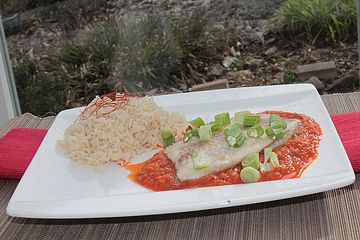 Tilapia - Fischfilets mit Zucchini - Tomatencreme - Sauce