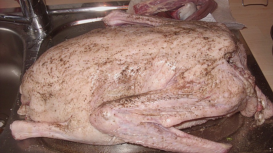 Meine Weihnachtsgans mit Hackfleischfüllung von momo_yannik