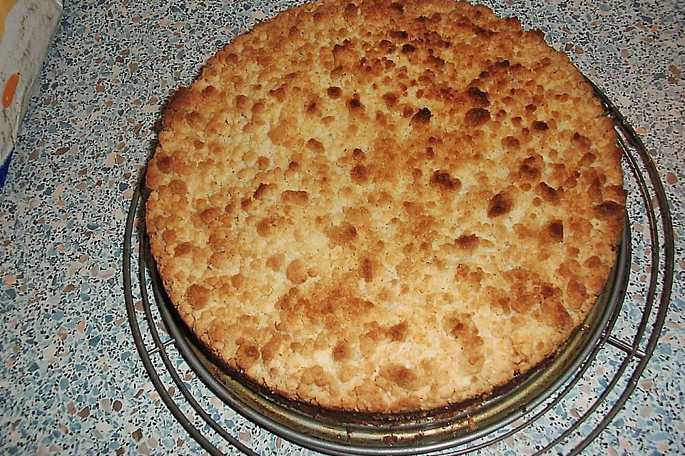 Saftiger Käsekuchen mit Aprikosen und Streuseln