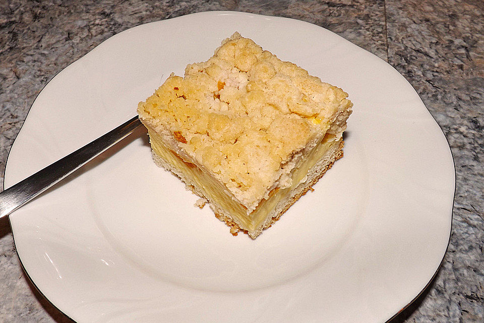 Saftiger Käsekuchen mit Aprikosen und Streuseln