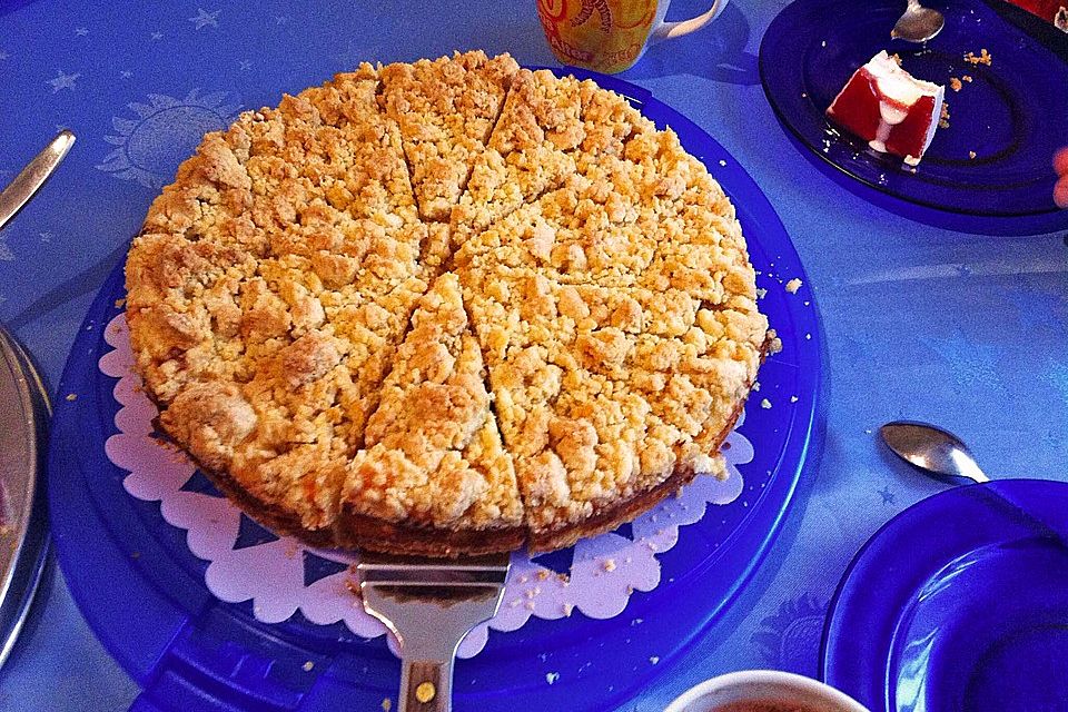 Saftiger Käsekuchen mit Aprikosen und Streuseln