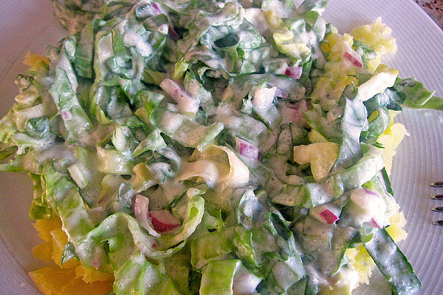 Endiviensalat mit Zwiebel-Sahnedressing von Ergobiene| Chefkoch