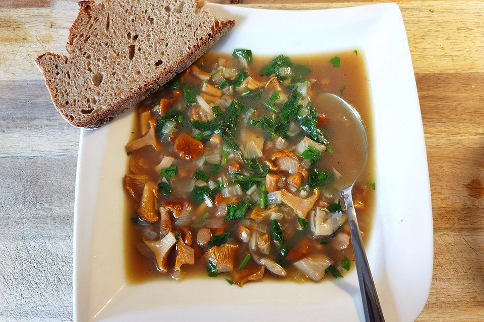 Klare Waldpilzsuppe