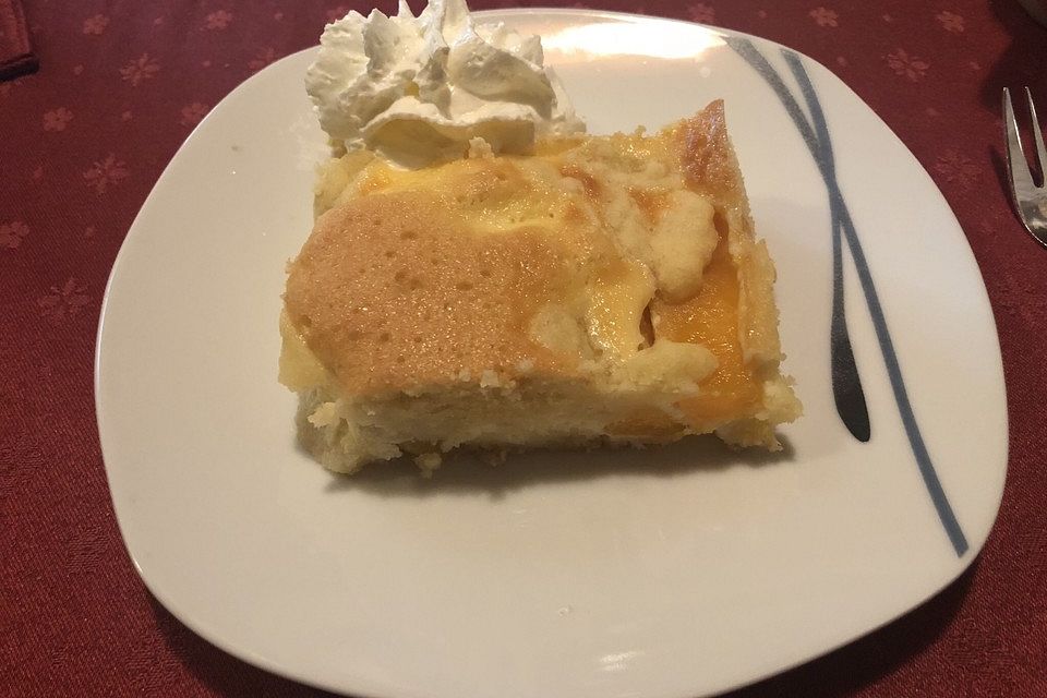 Pfirsich - Mascarpone - Kuchen mit Streuseln