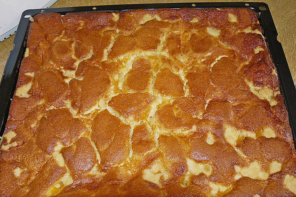 Pfirsich - Mascarpone - Kuchen mit Streuseln