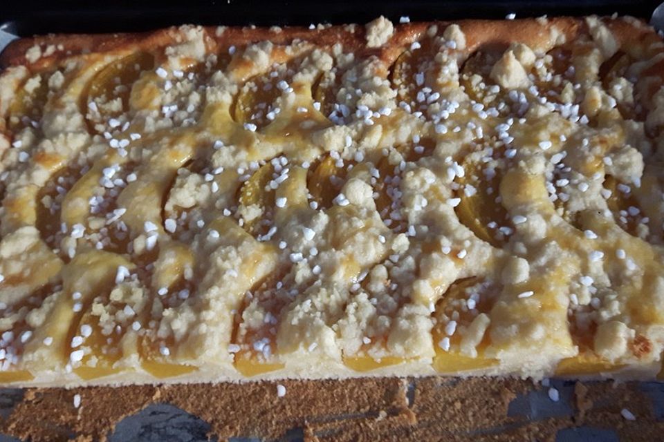 Pfirsich - Mascarpone - Kuchen mit Streuseln