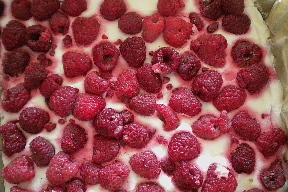 Himbeerschnitten mit einer Schokoladen - Käsekuchencreme