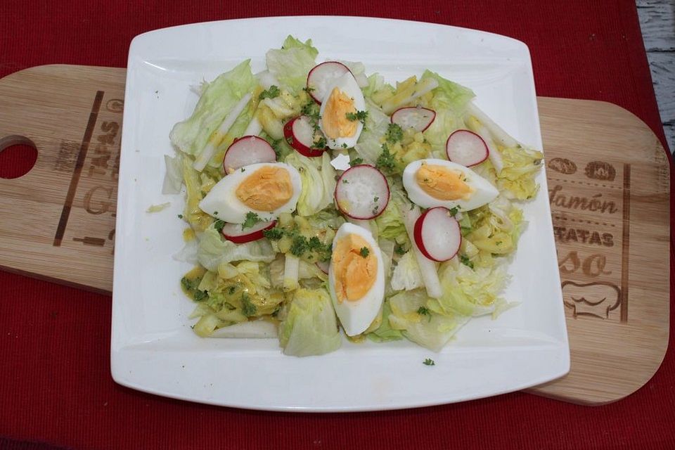 Radieschen - Rettich - Salat mit Sprossen