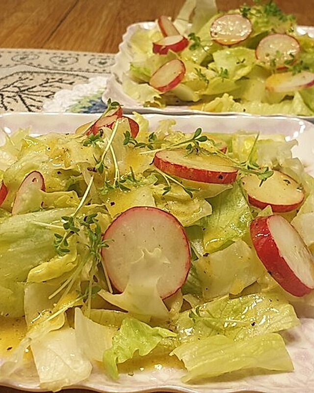 Radieschen - Rettich - Salat mit Sprossen
