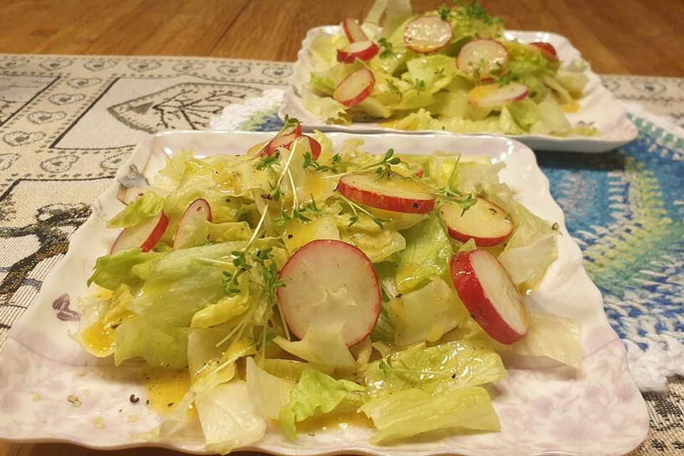 Radieschen - Rettich - Salat mit Sprossen