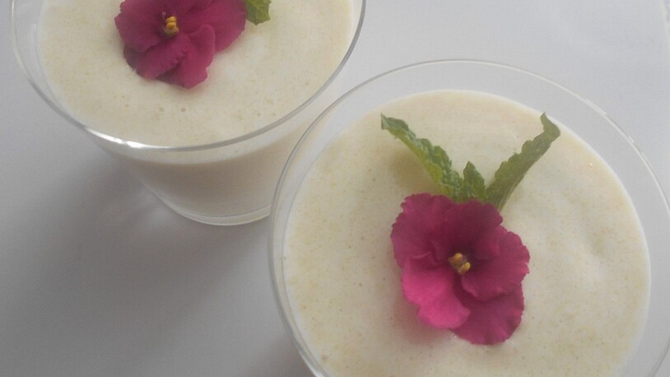 Rhabarber-Grießschaum von Paranoid Rhabarber-Grießschaum von Paranoid