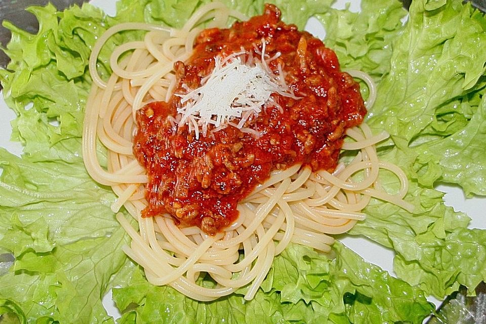 Leichte Bolognese Sauce