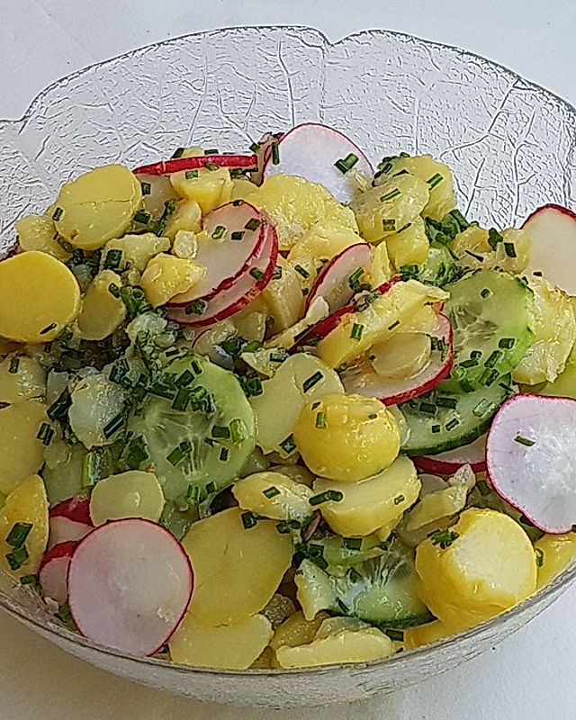 Kartoffelsalat mit Radieschen und Sprossen