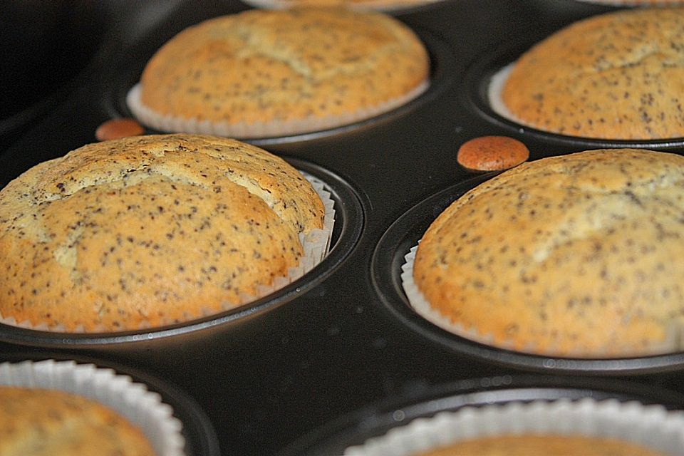 Mohn - Muffins